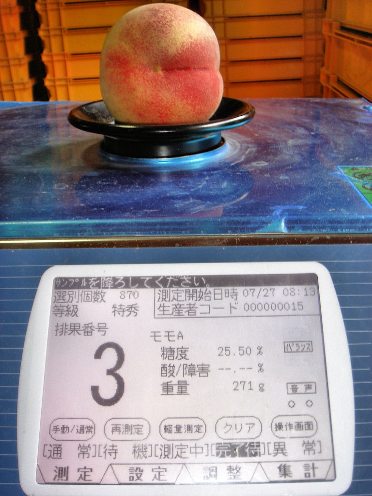 画像をクリックすると拡大表示されます!